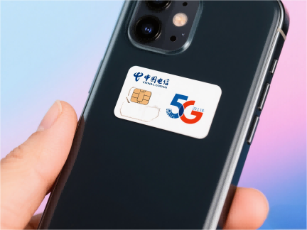 属鼠可以摆放虎吗