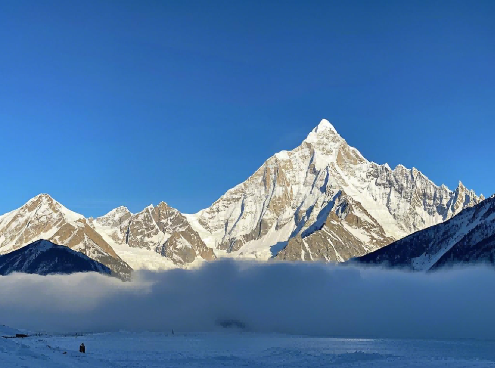 家里放干花会影响风水吗?真相大揭秘,你知道吗?