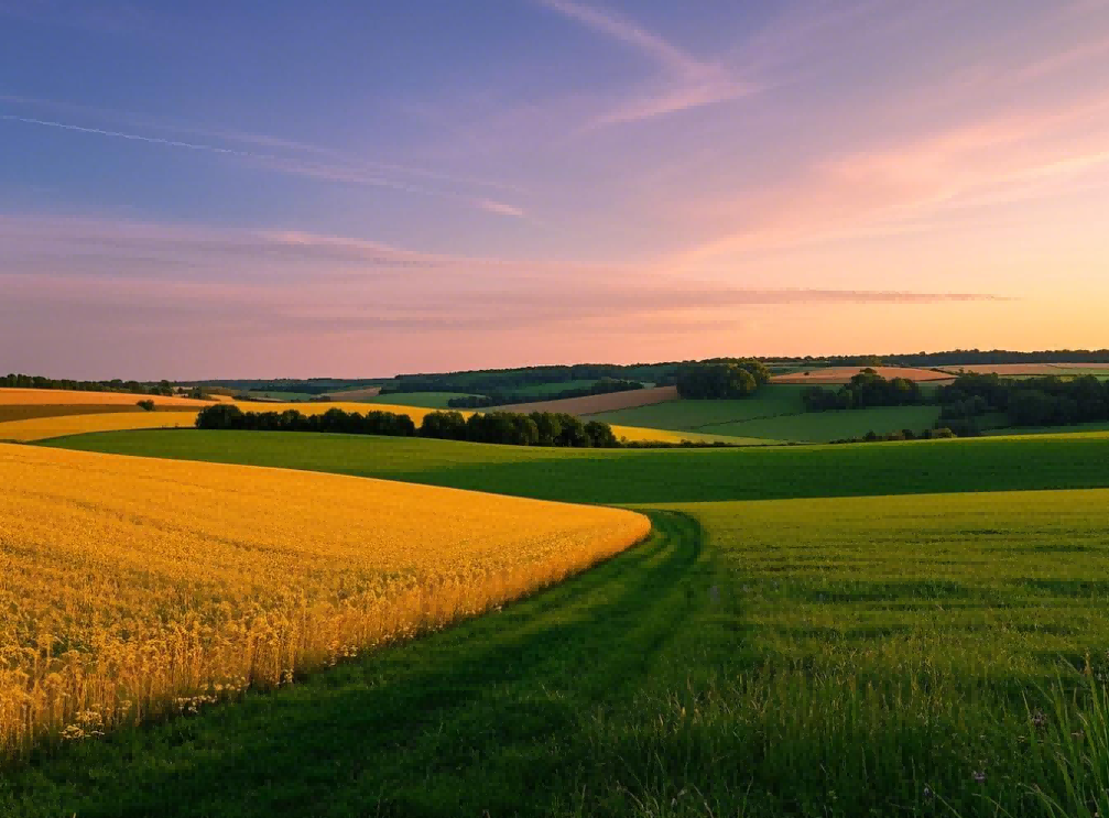 天蝎座45岁会发财吗?背后原因究竟是什么?