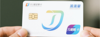 梦见狗掉茅房里了