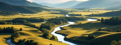 客厅贴蝴蝶破风水吗？探究其背后风水说法与真相