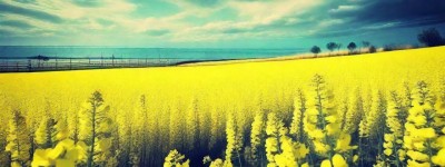 阴宅风水真的有效？揭开背后神秘面纱探寻真相