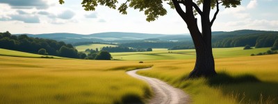 八宝山是风水宝地吗：探寻背后不为人知的真相与思考