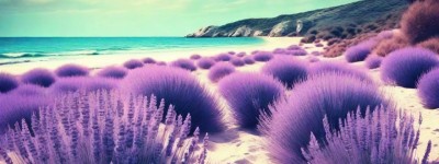 别总缠着射手座女生，给她们自由，才能收获她们真正的爱与真诚