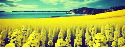 射手座5月财运揭秘：好运是否降临？财富之路能否开启？