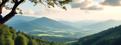 买房子应不应该相信风水？是迷信还是心理寄托？