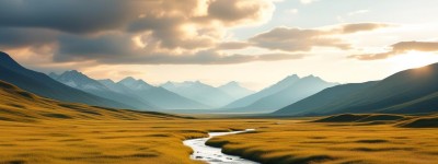 家里摆假花会影响风水吗？真相究竟如何，你知道吗？