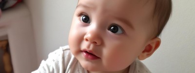 卢姓女孩起名属虎好吗：探寻契合生肖的美好之名