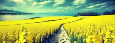 天蝎座男生黏爸爸怎么办