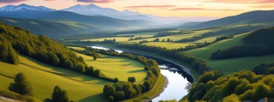 蔡爷爷风水命理是否要钱引关注 背后真相究竟如何