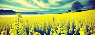 射手座男生身材高挑吗？他们一般多高？