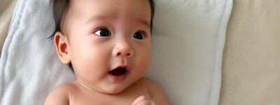 属狗起名能用龙吗？探究名字选择与属相之间的关联