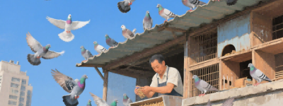 阳历三月适合上坟的吉日