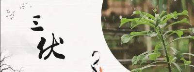 2023年三伏天时间表:7月11日-8月19日