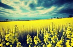 阴宅风水真的有效？揭开背后神秘面纱探寻真相