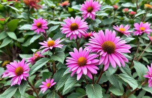命里有财名字怎么起名好