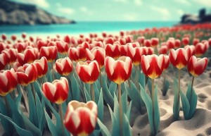 射手座冷战时，Ta会主动破冰吗？