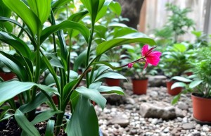 “公司起名最新规范要求