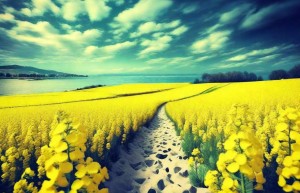 天蝎座男生黏爸爸怎么办