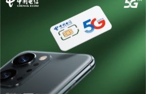 狗的本命年穿什么衣服好