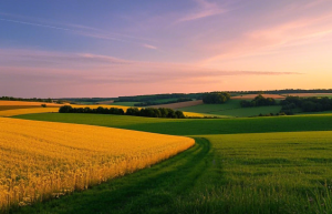 天蝎座45岁会发财吗？背后原因究竟是什么？